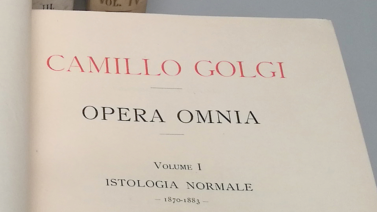 Un dettaglio della copertina